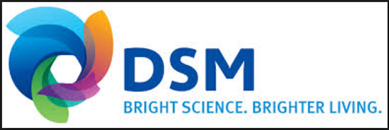 DSM Akulon®  Novamid® polyamide 6 