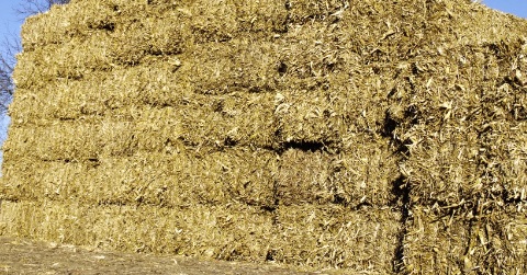 Molecules corn stalks wood chips biomass 