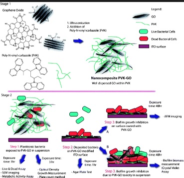 Antibacterial Applications Graphene Oxides
