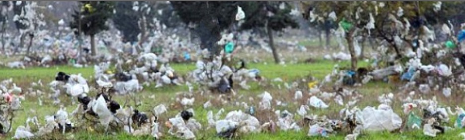 Fight plastics EU nonbiodegradable bags 