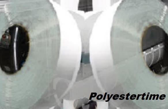 Polyester Feedstocks