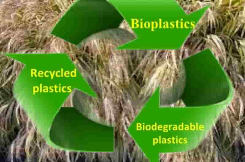 Sustainable Plastic Bioplastic (Com)Promise plastic waste