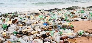 Plastic petrochemicals recycling Bioplastics