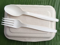 Are bioplastics really better for the environment? Read the fine print