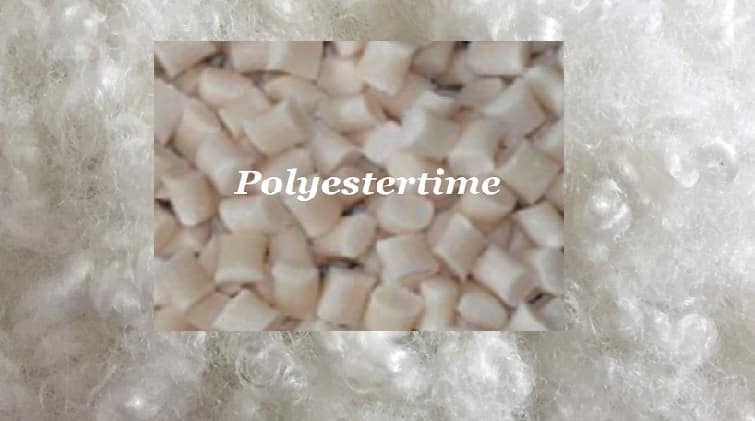 Lotte Chemical Alpek Polyester 