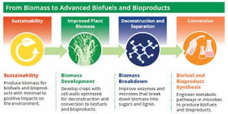 Biofuel From Microorganisms