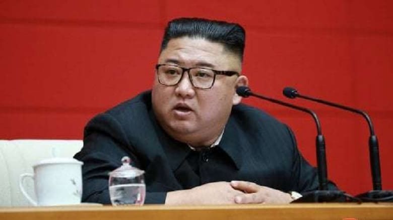 “Kim Jong-un in a coma, the sister in charge of North Korea”