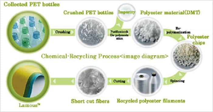 Bacteria Petrochemicals PlasticPollution