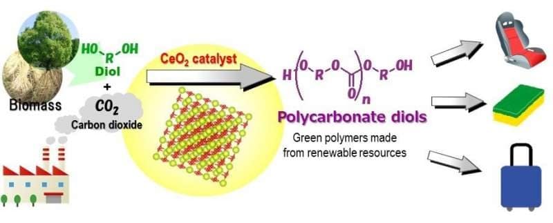 World's first 'green' synthesis of plastics from CO2