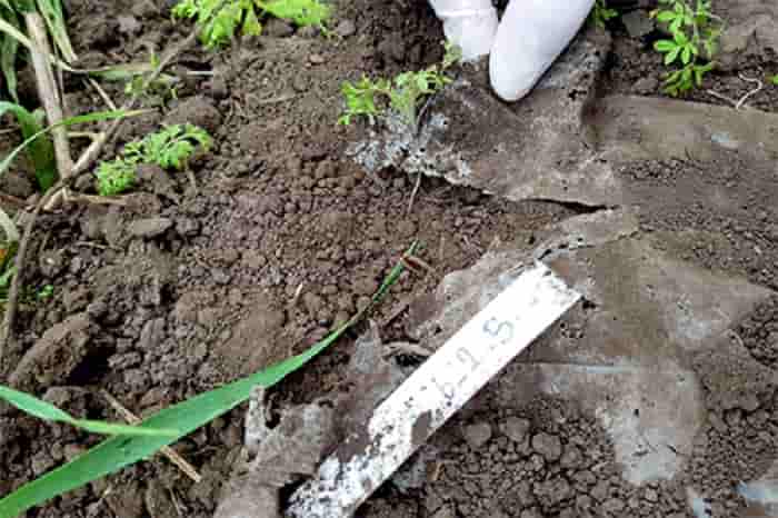 Degradation of biobased plastics in the soil