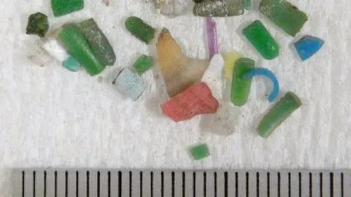 Infants have more microplastics in their feces than adults