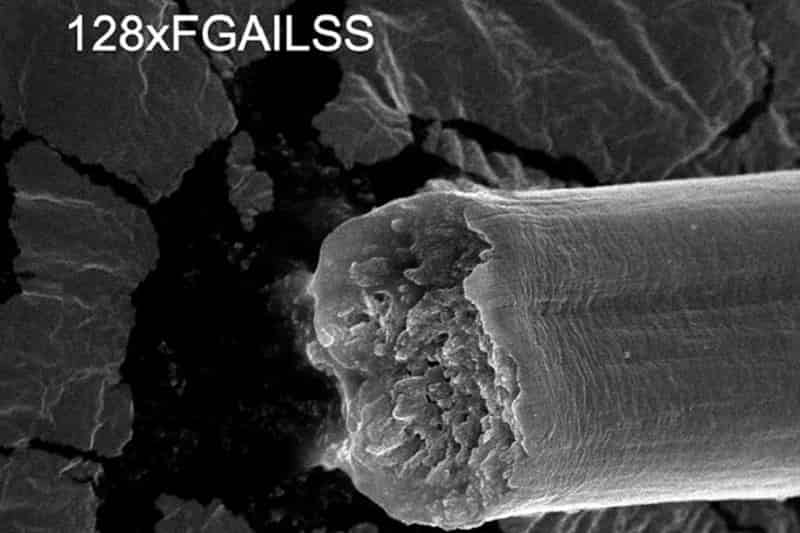 Incredible Fibers Produced by Engineered Bacteria: Stronger Than Steel, Tougher Than Kevlar