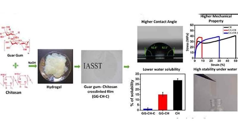 Polyester Film Biobased Composite