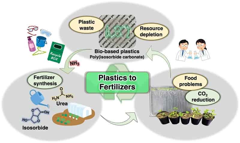 Plant from plastics: Bio-based polymers can be transformed into fertilizer