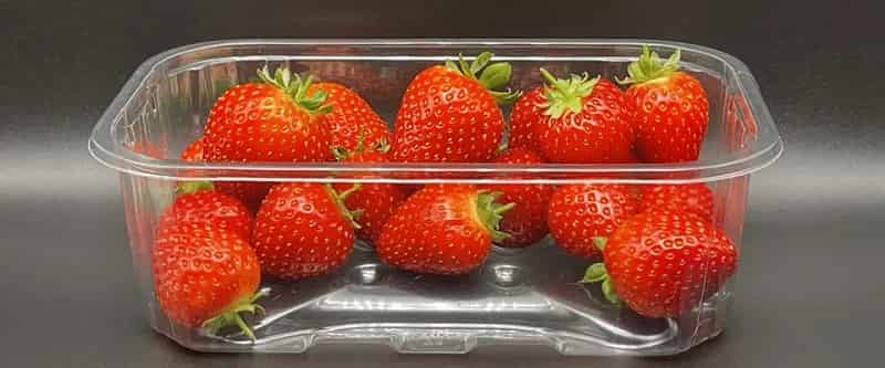 Waddington Europe offers new punnet that's easier to recycle, uses less plastic