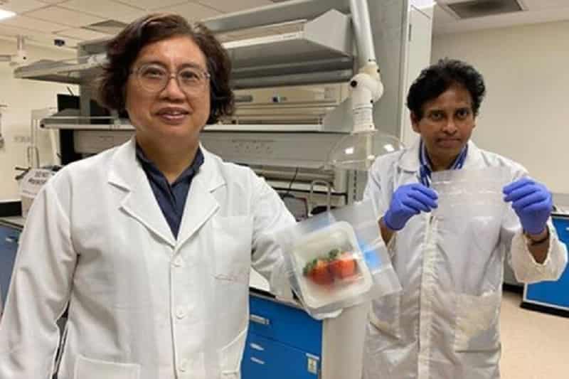 Harvard team unveils biodegradable, anti-microbial food packaging material Biodegradable-anti-microbial