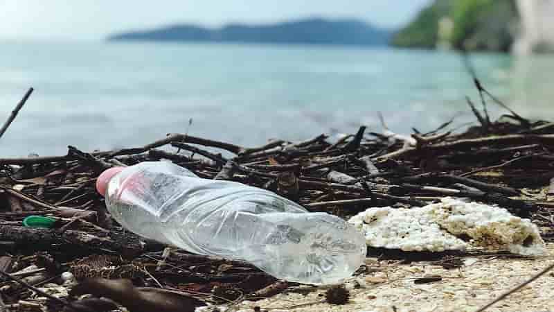 Report: The price of plastic pollution