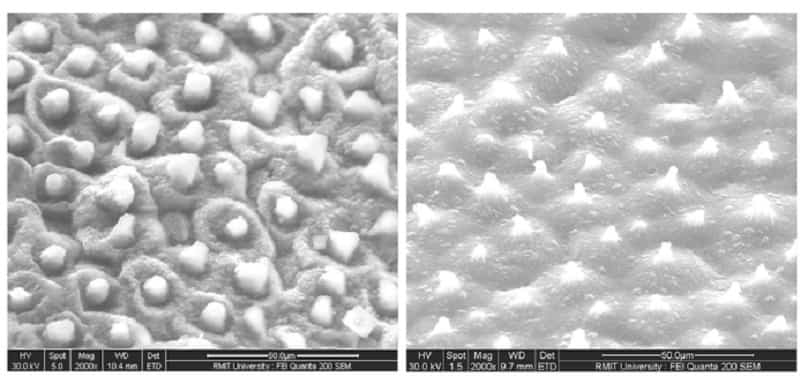 Self-cleaning bioplastics repel liquid and dirt Nylon-Derived-From-Tires - Bioplastics