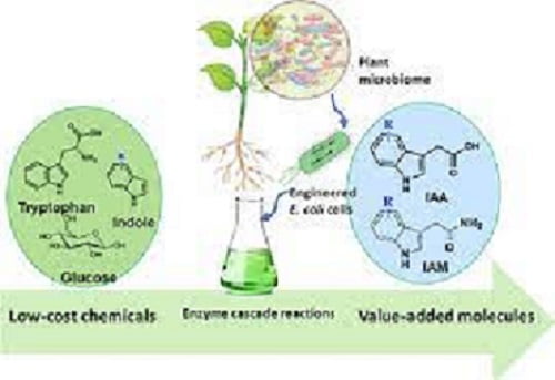 Protein-based-bioplastics - Chemical-recycling