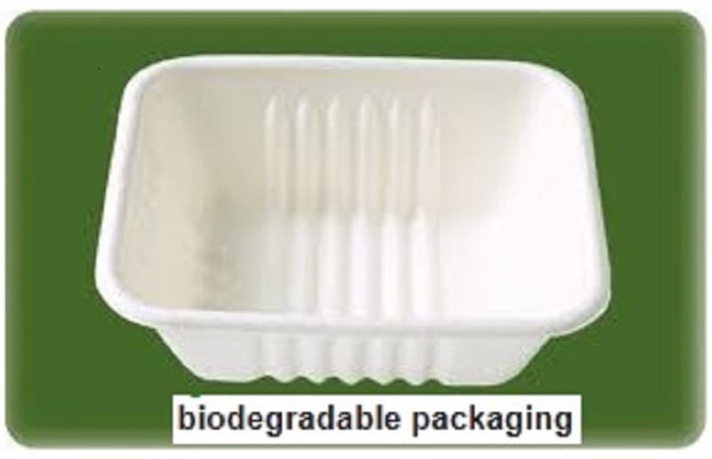 BPF to explore biobased and biodegradable technology
