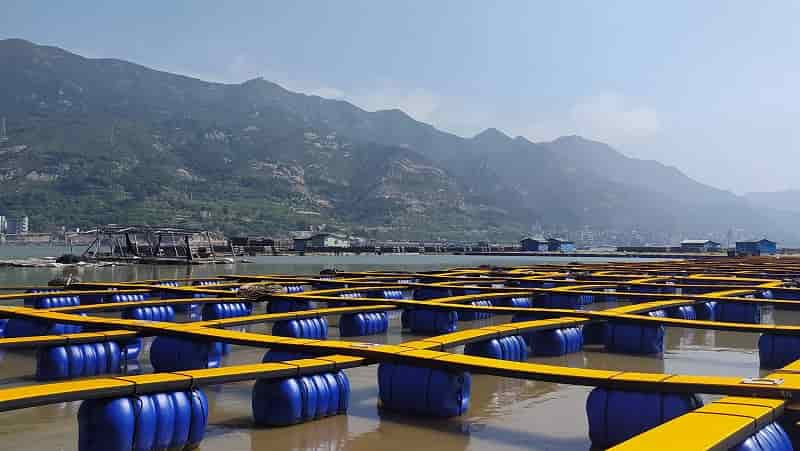 BASF light stabilizer increases the durability of pontoons used for aquaculture in China