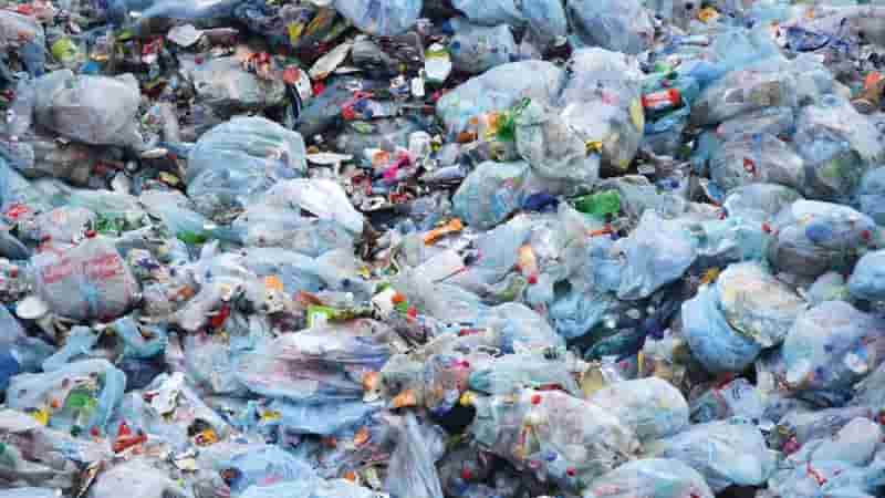 Nearly 17% of recycling is wasted due to contamination