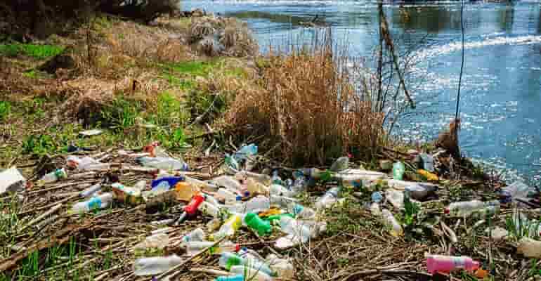 Bioplastics as an Alternative to Single-Use Plastic Waste