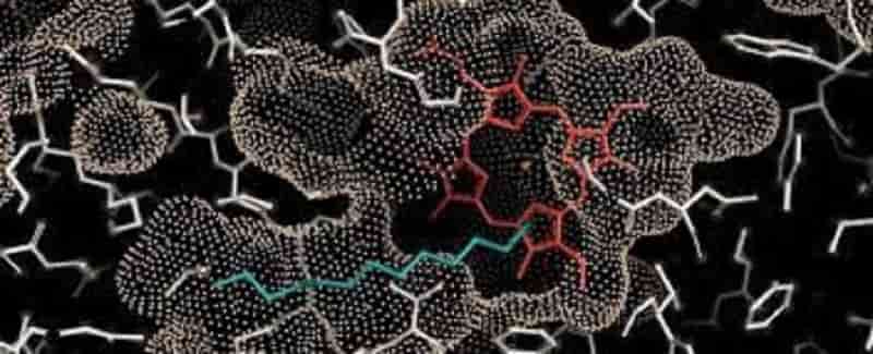 Novel enzyme could boost sustainable production of SAF