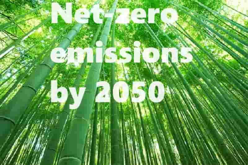 Global net-zero emissions by 2050 possible but with urgent action: IE