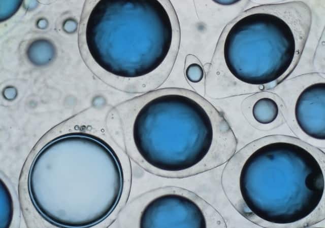 Environmentally friendly microcapsules made from biopolymers
