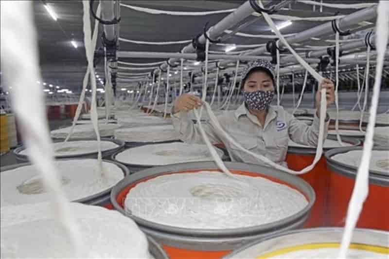 Vietnam's fibre exports foresee positive signals