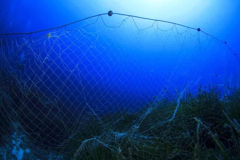 Compostable fishing nets: An end to Ghost Nets in the oceans?