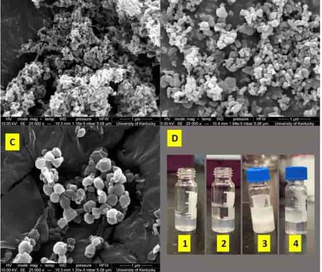 Researchers develop eco-friendly 'magnet' to battle microplastics