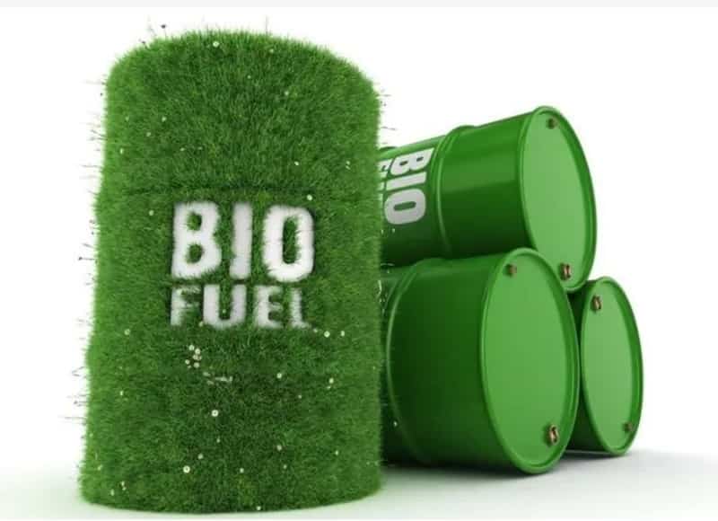 Malaysian 2024 biofuel output could rise if B20 biodiesel usage expanded