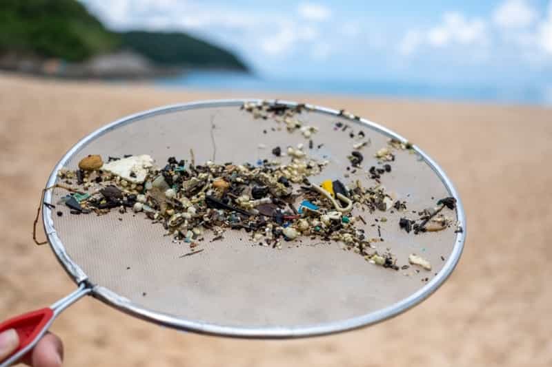 Plant-based plastic releases nine times less microplastics than conventional plastic