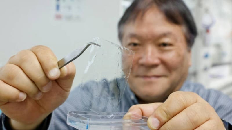 A Plastic That Disappears in Hours: A Game-Changer for the Planet Renewable Resources