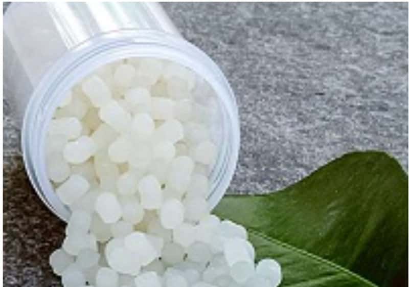 BioLogiQ Awarded $5M USDA Grant to Revolutionize Sustainable Packaging for Fresh Produce Sustainable Packaging