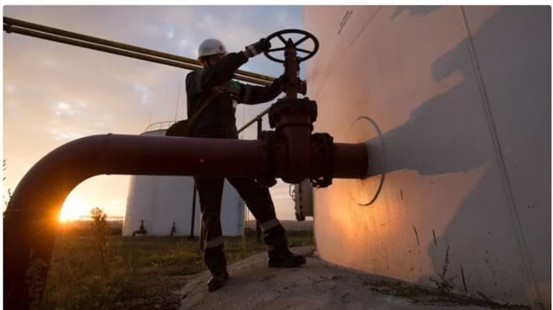 From Textiles to Tech: Russia's Growing Demand for Indian Workers