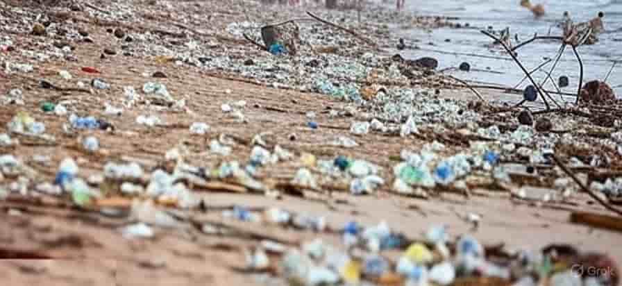 New Report Warns: Plastic Pollution is a Global Health Emergency