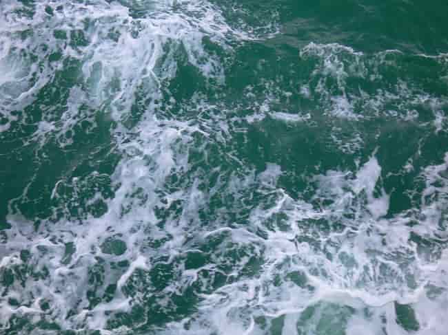 seawater to biodegradable plastic technology