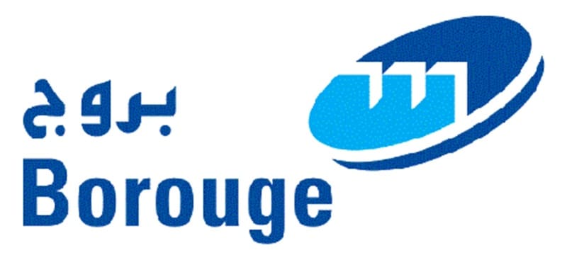 Borouge net profit 2025