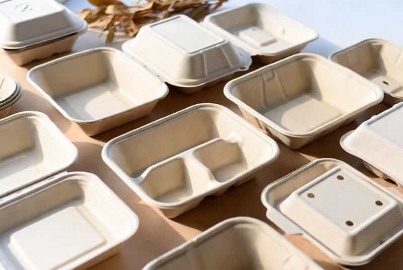 Bio-Based Packaging
