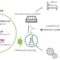 Polyurethane Chemical Recycling Japan